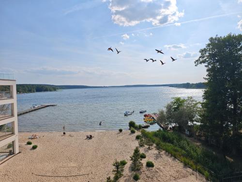 Apartament 22 in Boszkowo- Letnisko