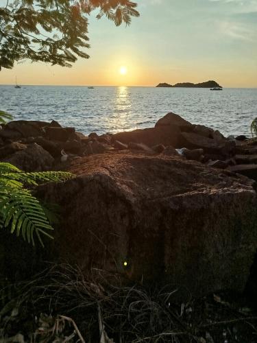 Le petit couin des voyageurs in Μποιγιάντ