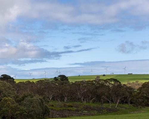 สภาพแวดล้อมโดยรอบ, Delamere Farm Stay in เคพ เจอร์วิส