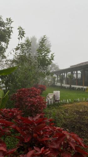 Ecolodge de Bambu en el Bosque Nublado ShantihOMe in San Miguel de Los Bancos