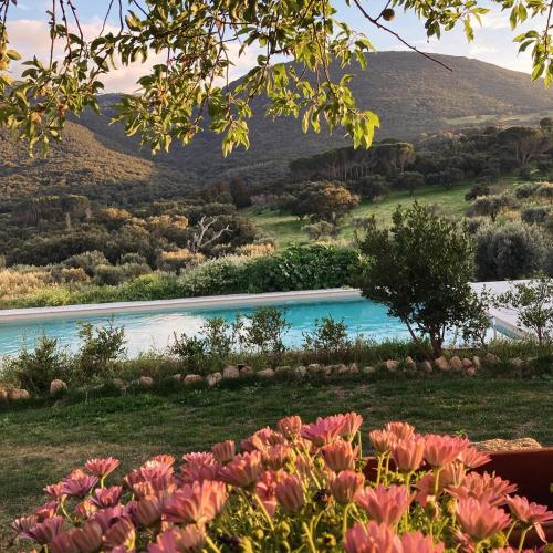 Agriturismo Is Conchisceddas Medio Campidano - Sardegna