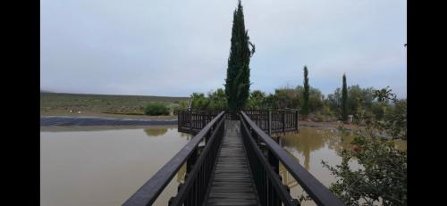 Kalkgat Avontuurplaas in คาลวิเนีย