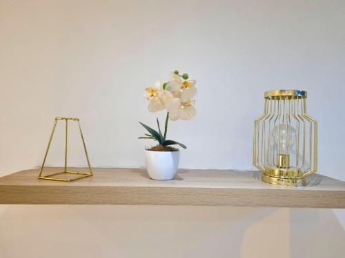 Studio avec terrasse - Location saisonnière - Elbeuf