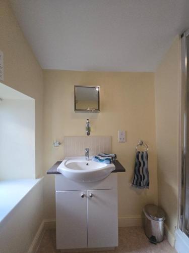 Twin Room - The Unicorn Hotel in Llanidloes