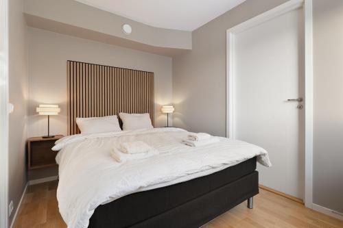 Aurora borealis Tromso, Tromso