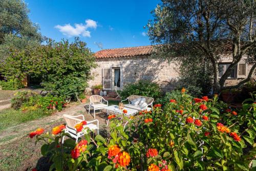 Casa Lilliosa gîte à louer Bassacutena