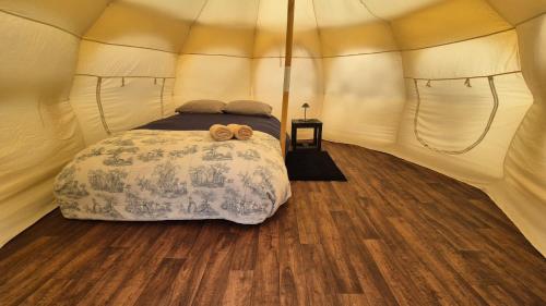 Camping Río Serrano - Caja Los Andes (Camping Rio Serrano - Caja Los Andes) in 托雷斯德爾潘恩