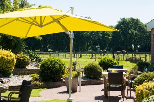 B&B de Ster van Dwingeloo – Dwingeloo, TX