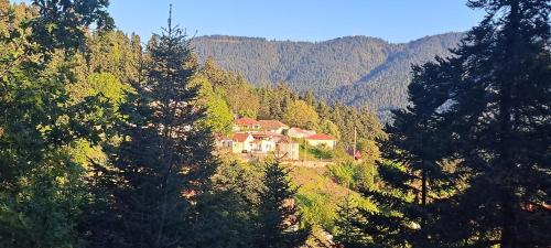 Villa Mantziou gîte à louer Aniádha