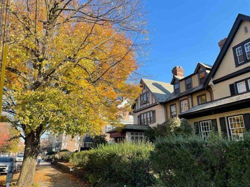 THE ADDAMS HOUSE - LANCASTER HISTORIC DISTRICT - image 6