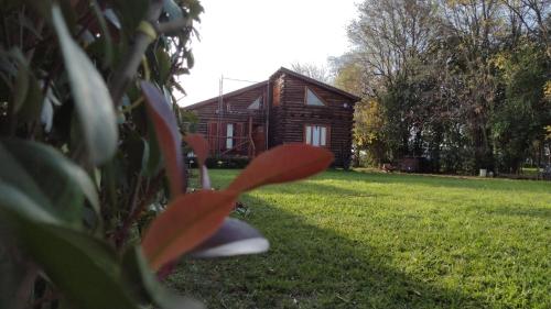 La cabaña (La cabana) in ซาน นิโกลัส เดลาส อาร์โรโยส