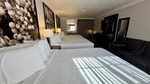 Super 8 by Wyndham Ukiah - image 7