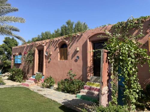 Tunis Camp in 法尤姆