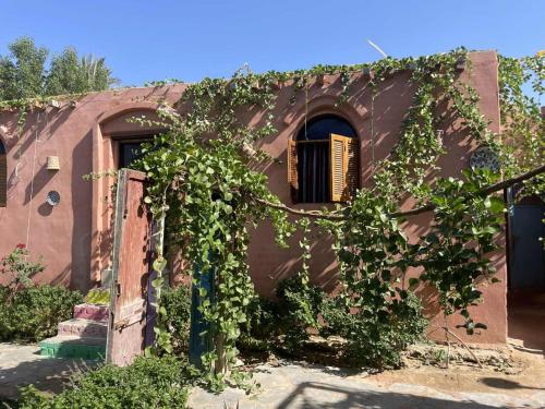 Tunis Camp in 法尤姆