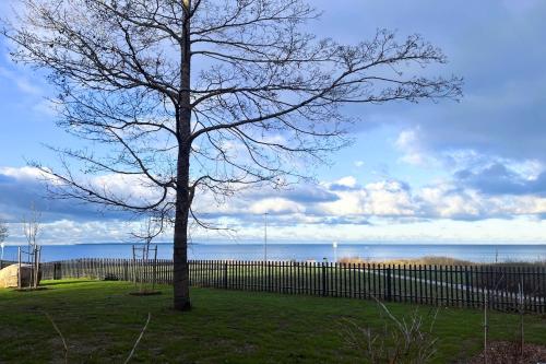 Peaceful Seaside Stay for Couples & Digital Nomads, Tallinn (photo 6)