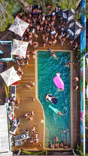Πισίνα, Port Douglas Backpackers in Πορτ Ντάγκλας