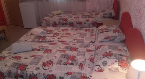 Guest House Dragomir - image 4