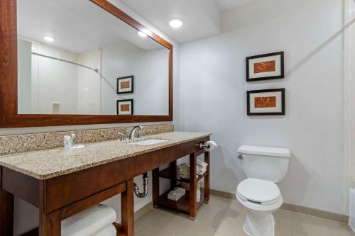 Comfort Suites Houston NW - Vintage Park - image 11
