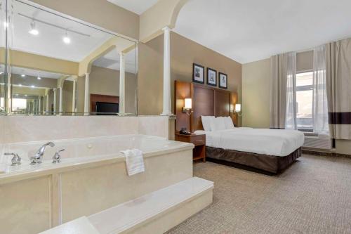 Comfort Suites Houston NW - Vintage Park - image 9