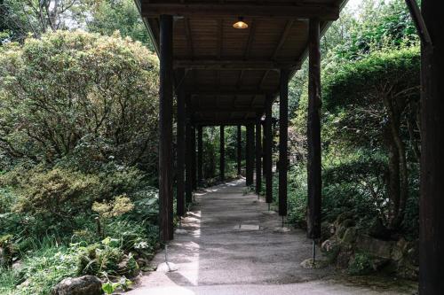 山荘 紗羅樹 Syaranoki, Yufu (foto 11)