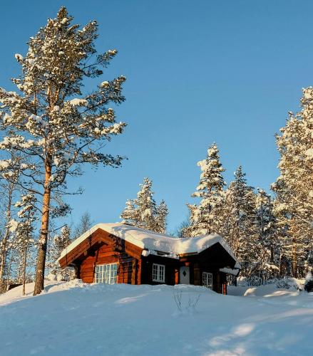 Newly Built Log Cabin Near Hardangervidda - Location saisonnière - Flatåker