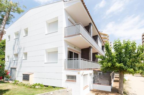 Studio (4 Adults)