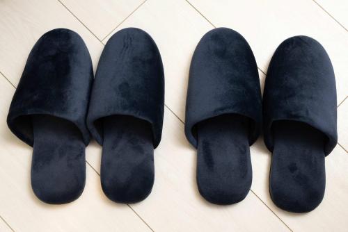 アンドステイ大森中102