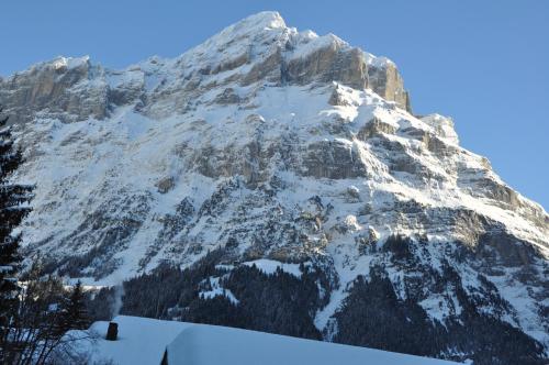 Hotel Central Wolter - Grindelwald