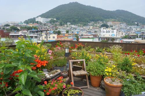 grădină, Grim Garden in Yeosu-si