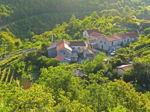 Estate & Winery San Duyevo, Rijeka Crnojevića (fotografie 9)