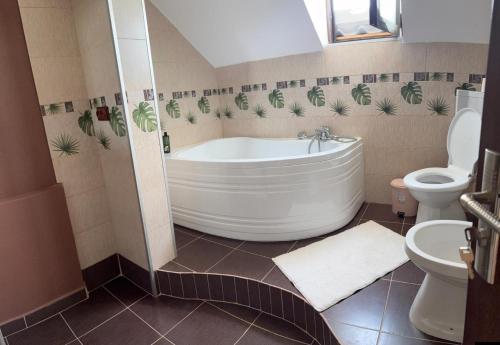 Casa Alecu in Popesti (Vrancea)