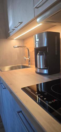 Apartment Hausberger - Mayrhofen