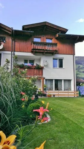 Merlin in Lienz, Österreich