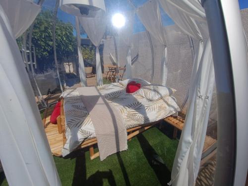 mauran berre insolite - Camping - Berre-l'Étang