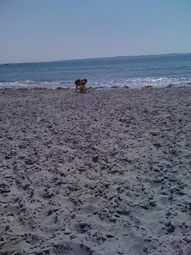 Teach Beag Cois Tra in Limerick