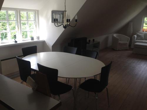 Rane Ladegaard - image 6