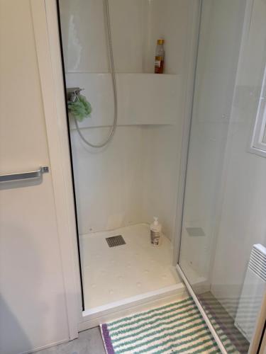 Mobil-home 8 personnes proche plage et foret - Camping - Saint-Brevin-les-Pins