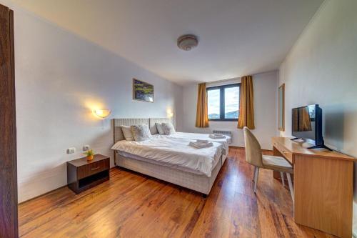 Large Double or Twin Room