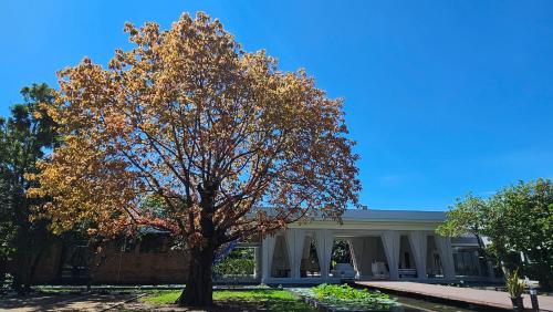Foto - Sukhothai Treasure Resort & Spa