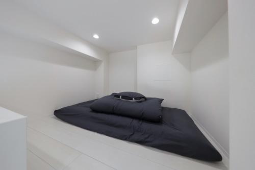 monthly Nano Kamiochiai