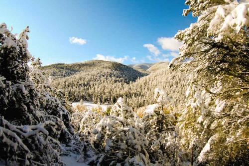 Shady Brook Inn Village/Resort in Shady Brook, USA