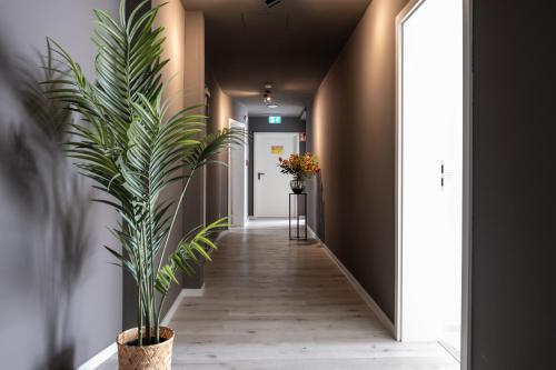 the sQuare hotel - image 13