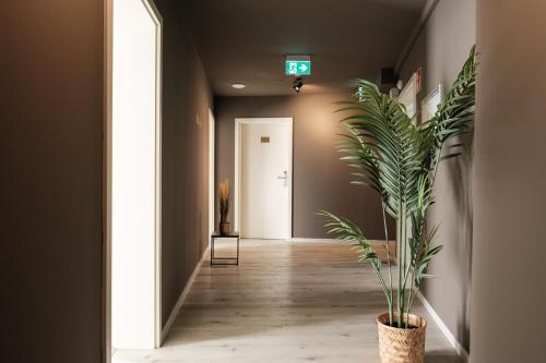 the sQuare hotel - image 11