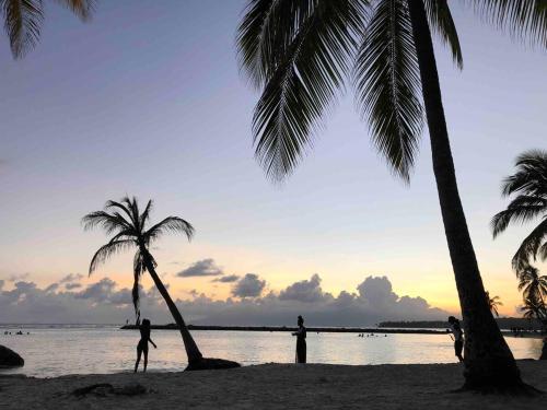 周邊環境, L Atelier de Nos Rêves-Piscine et lagon (L Atelier de Nos Reves-Piscine et lagon) in 聖安娜