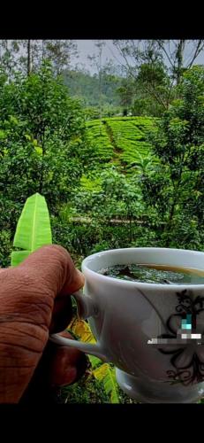 Daresh home stay in Maskeliya