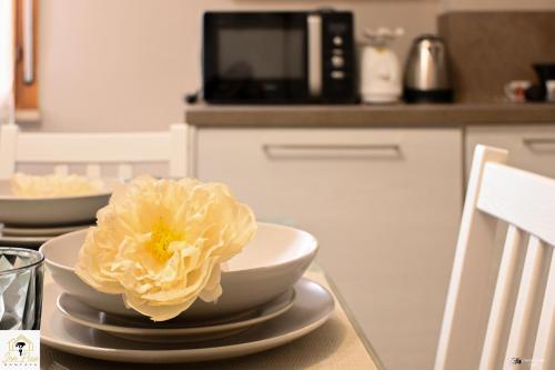 Létesítmények, Inn Pisa Rentals 2 - Easy Ride Flat in San Michele