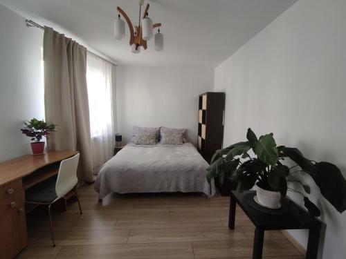 Room 1