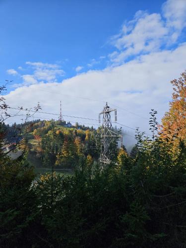 Gasthaus Moosegg in โลเชา ไบ เบรเกินซ์