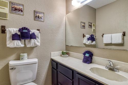 Cozy Bear Condo - Prime location just minutes from Ober Mountain downtown Gatlinburg - image 3