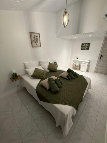 Villa JOLIS 4 chambres avec piscine en Guadeloupe in Les Abymes